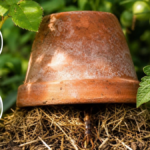 Un pot de fleurs retourné rempli de paille ce refuge coûte 0 euro et attire l’insecte le plus utile du jardin